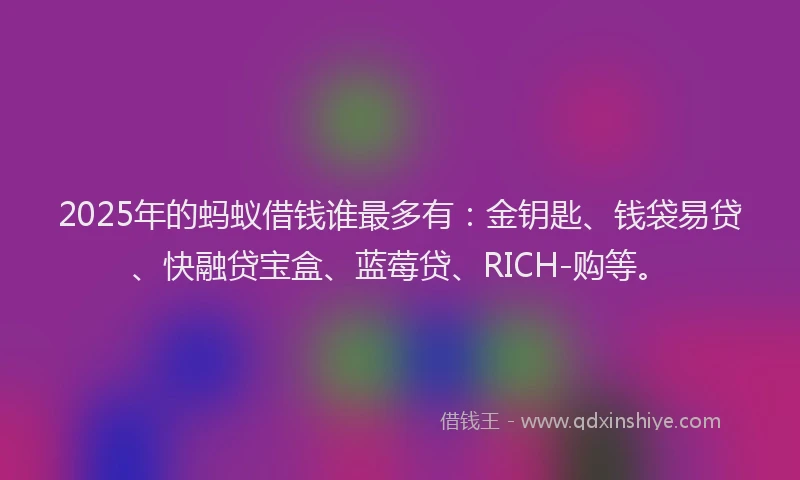 2025年的蚂蚁借钱谁最多有：金钥匙、钱袋易贷、快融贷宝盒、蓝莓贷、RICH-购等。