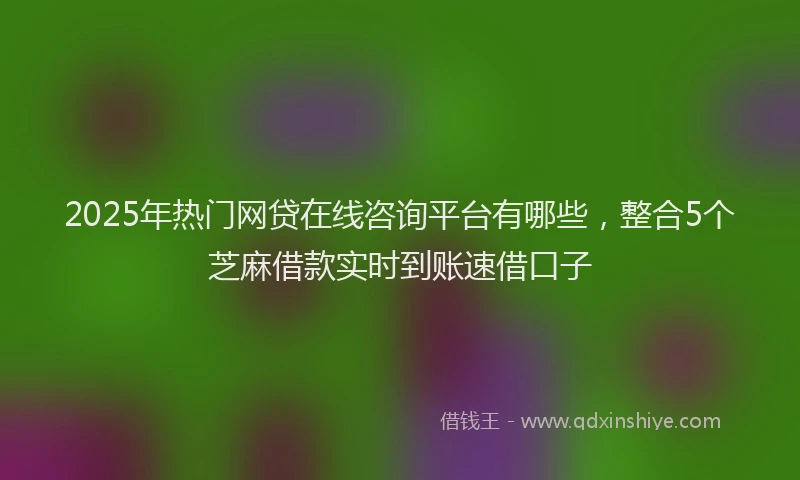 2025年热门网贷在线咨询平台有哪些，整合5个芝麻借款实时到账速借口子