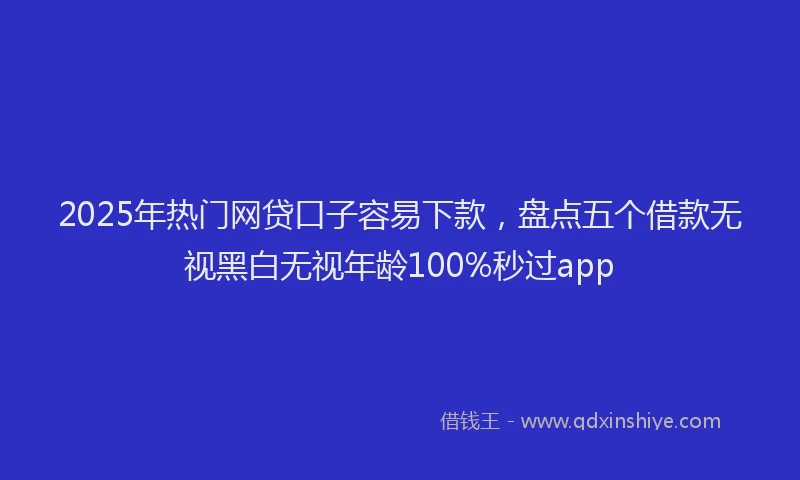 2025年热门网贷口子容易下款，盘点五个借款无视黑白无视年龄100%秒过app