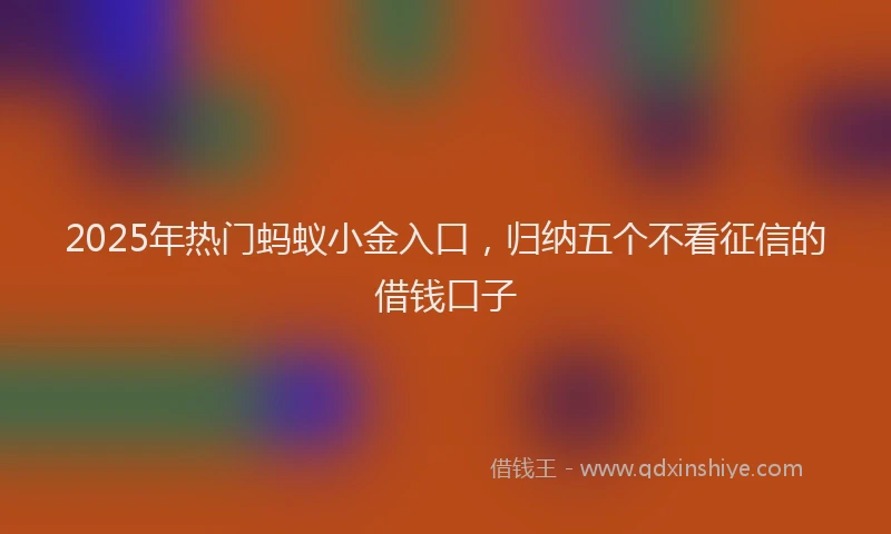 2025年热门蚂蚁小金入口，归纳五个不看征信的借钱口子
