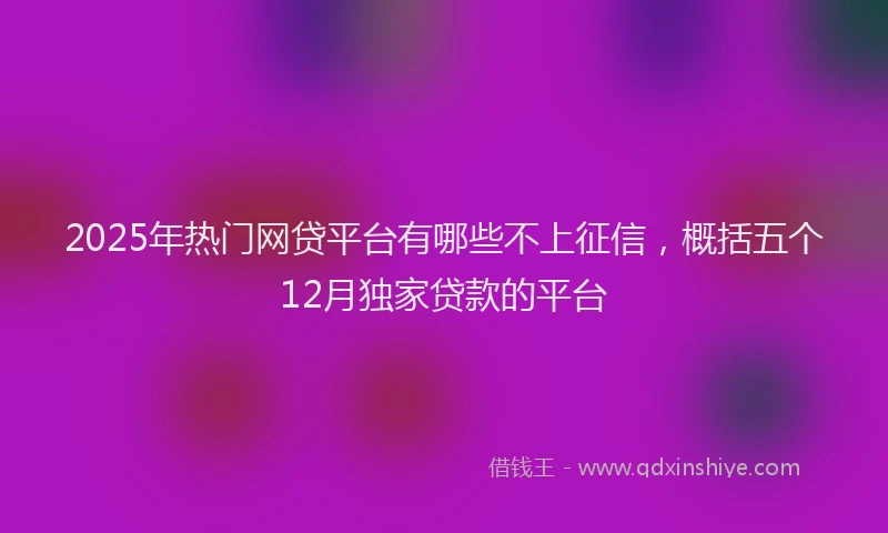 2025年热门网贷平台有哪些不上征信，概括五个12月独家贷款的平台