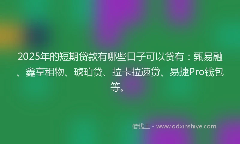 2025年的短期贷款有哪些口子可以贷有：甄易融、鑫享租物、琥珀贷、拉卡拉速贷、易捷Pro钱包等。