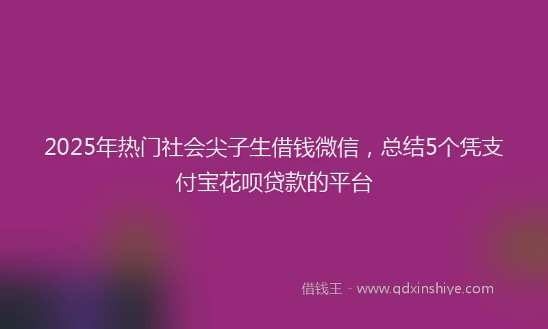 2025年热门社会尖子生借钱微信，总结5个凭支付宝花呗贷款的平台
