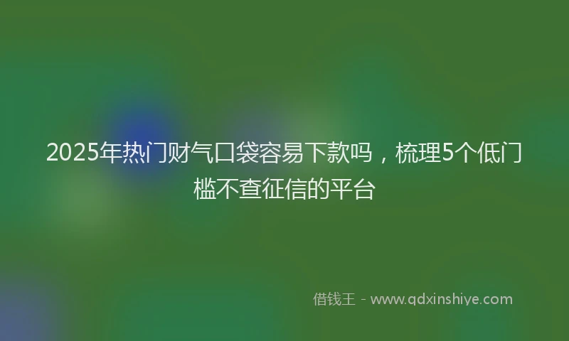 2025年热门财气口袋容易下款吗，梳理5个低门槛不查征信的平台