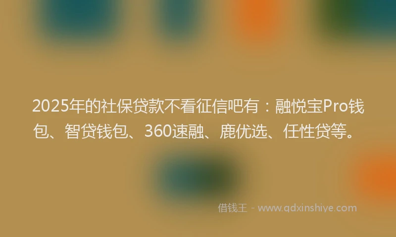 2025年的社保贷款不看征信吧有：融悦宝Pro钱包、智贷钱包、360速融、鹿优选、任性贷等。