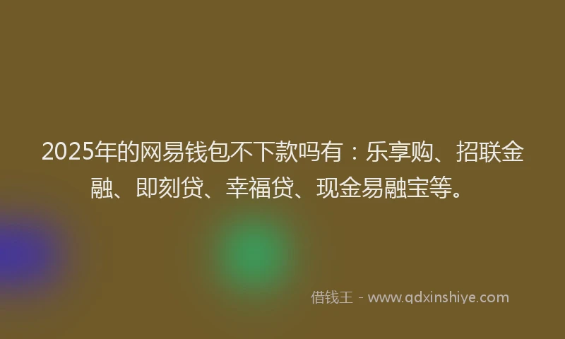2025年的网易钱包不下款吗有：乐享购、招联金融、即刻贷、幸福贷、现金易融宝等。