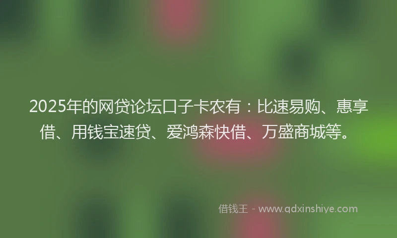 2025年的网贷论坛口子卡农有：比速易购、惠享借、用钱宝速贷、爱鸿森快借、万盛商城等。