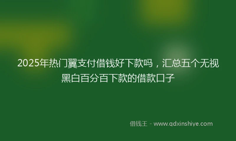 2025年热门翼支付借钱好下款吗，汇总五个无视黑白百分百下款的借款口子