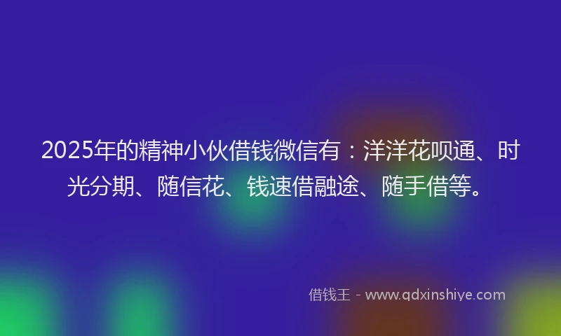 2025年的精神小伙借钱微信有：洋洋花呗通、时光分期、随信花、钱速借融途、随手借等。