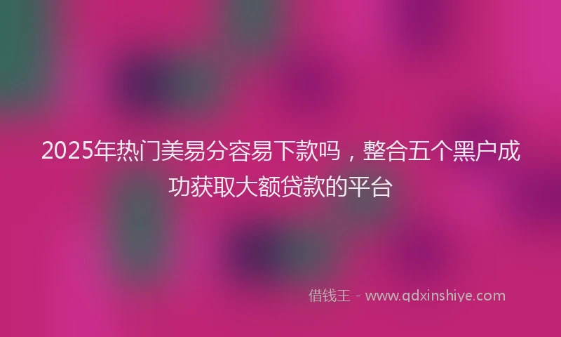 2025年热门美易分容易下款吗，整合五个黑户成功获取大额贷款的平台