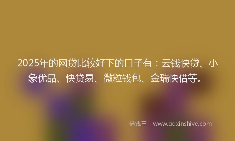2025年的网贷比较好下的口子有：云钱快贷、小象优品、快贷易、微粒钱包、金瑞快借等。