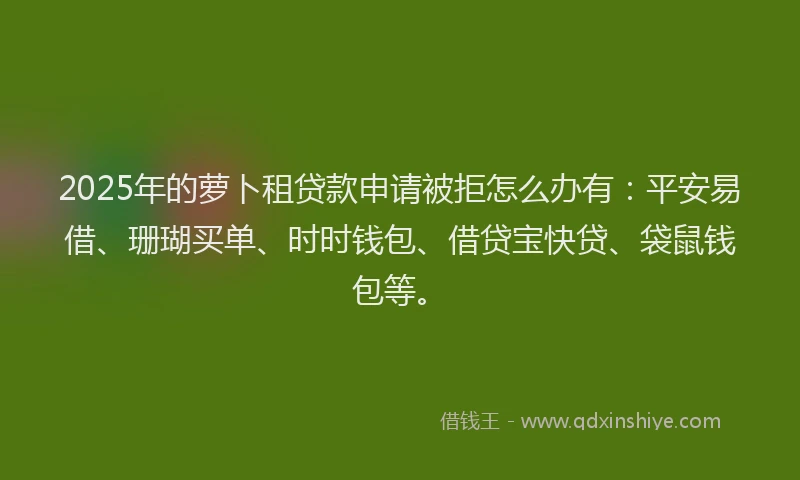 2025年的萝卜租贷款申请被拒怎么办有：平安易借、珊瑚买单、时时钱包、借贷宝快贷、袋鼠钱包等。