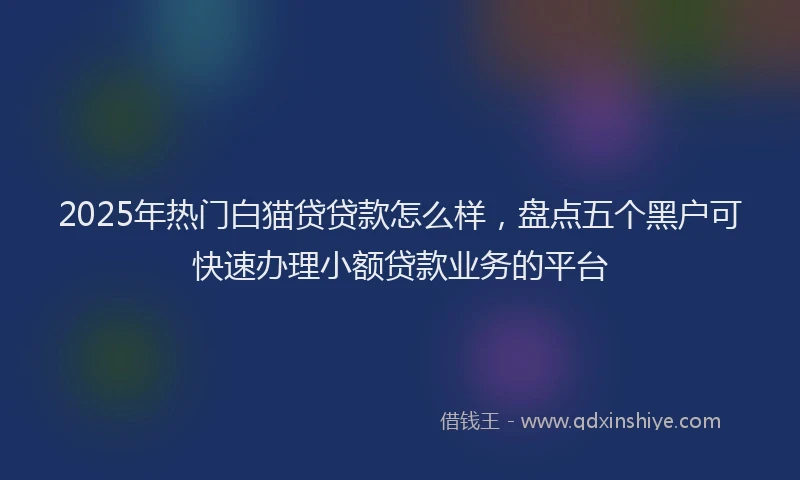 2025年热门白猫贷贷款怎么样，盘点五个黑户可快速办理小额贷款业务的平台