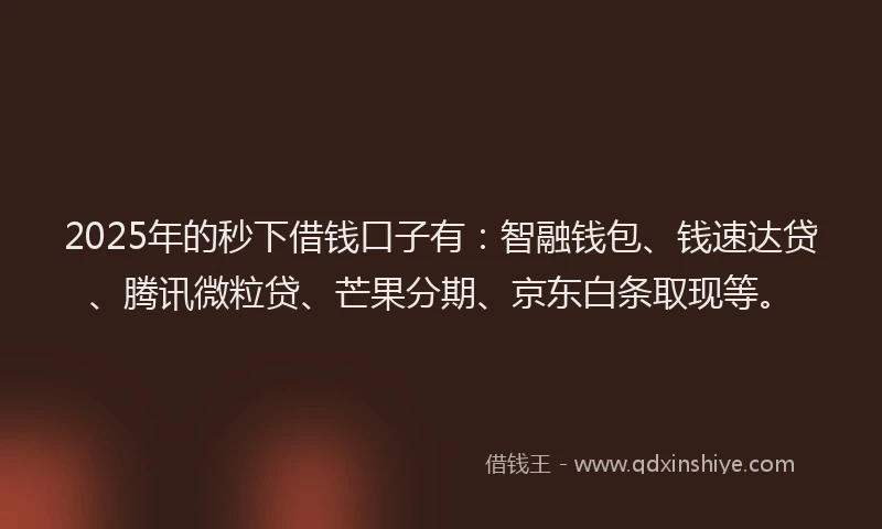 2025年的秒下借钱口子有：智融钱包、钱速达贷、腾讯微粒贷、芒果分期、京东白条取现等。