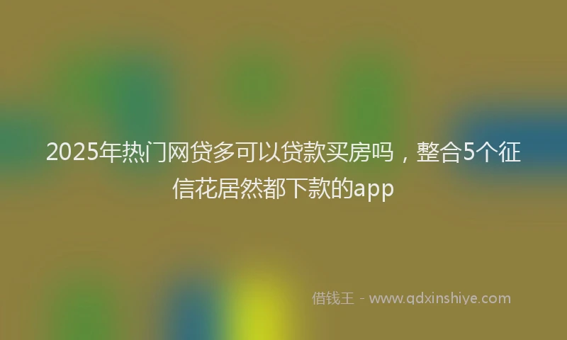 2025年热门网贷多可以贷款买房吗，整合5个征信花居然都下款的app