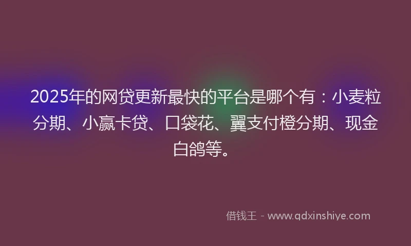 2025年的网贷更新最快的平台是哪个有：小麦粒分期、小赢卡贷、口袋花、翼支付橙分期、现金白鸽等。