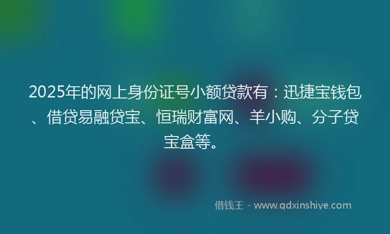 2025年的网上身份证号小额贷款有：迅捷宝钱包、借贷易融贷宝、恒瑞财富网、羊小购、分子贷宝盒等。