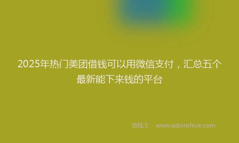 2025年热门美团借钱可以用微信支付，汇总五个最新能下来钱的平台