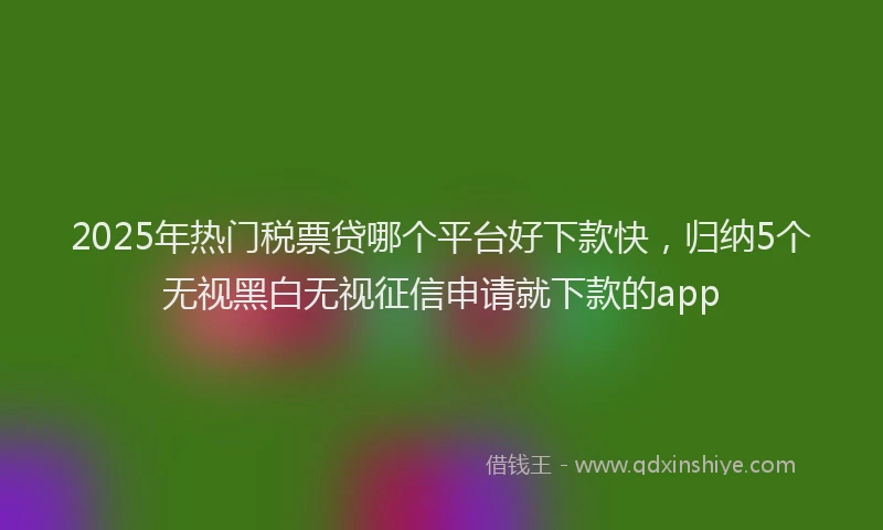 2025年热门税票贷哪个平台好下款快，归纳5个无视黑白无视征信申请就下款的app