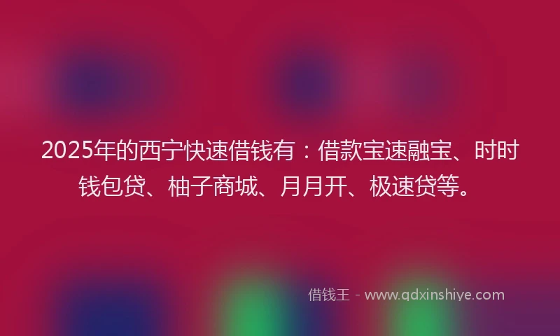 2025年的西宁快速借钱有：借款宝速融宝、时时钱包贷、柚子商城、月月开、极速贷等。