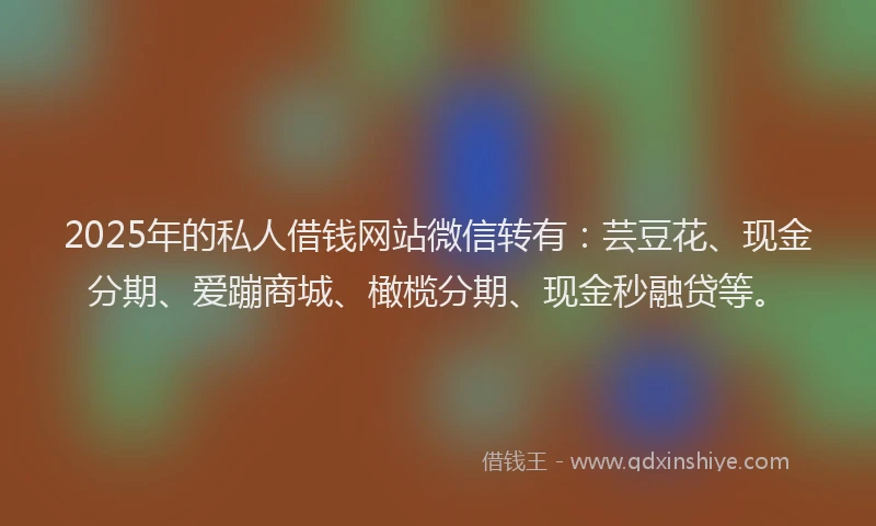 2025年的私人借钱网站微信转有：芸豆花、现金分期、爱蹦商城、橄榄分期、现金秒融贷等。