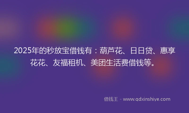 2025年的秒放宝借钱有：葫芦花、日日贷、惠享花花、友福租机、美团生活费借钱等。