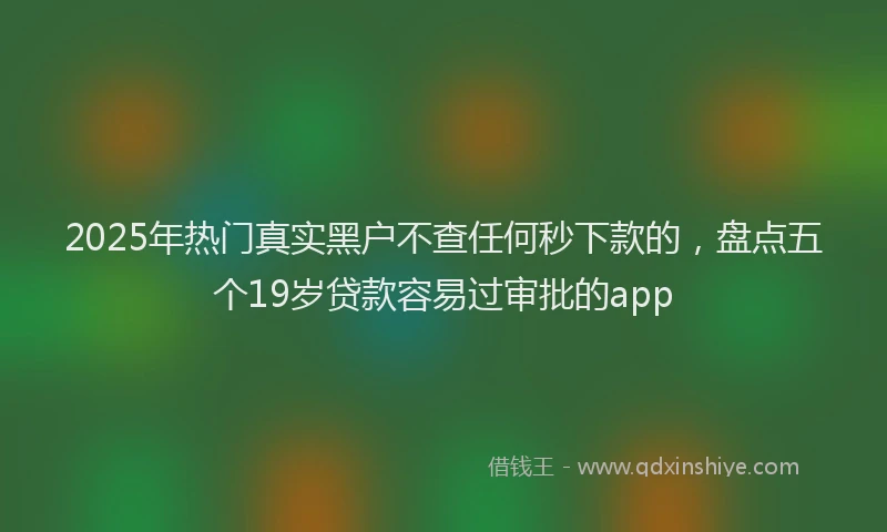 2025年热门真实黑户不查任何秒下款的，盘点五个19岁贷款容易过审批的app