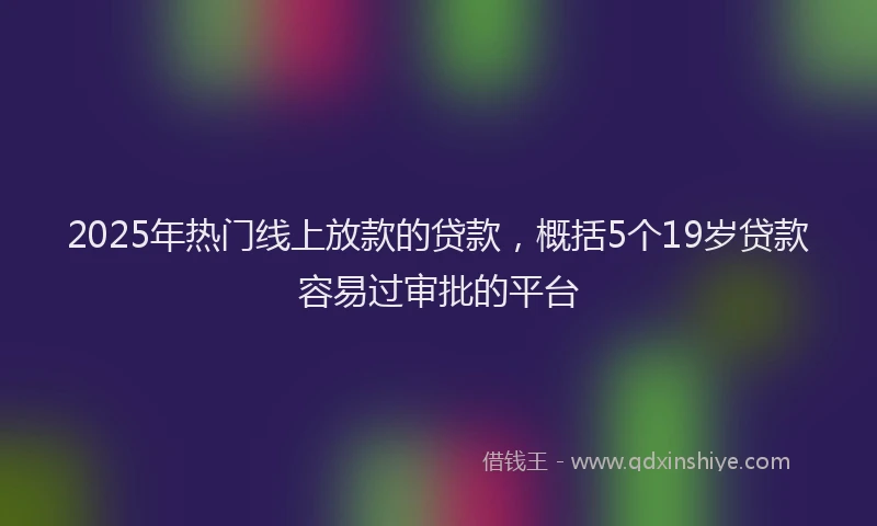 2025年热门线上放款的贷款，概括5个19岁贷款容易过审批的平台