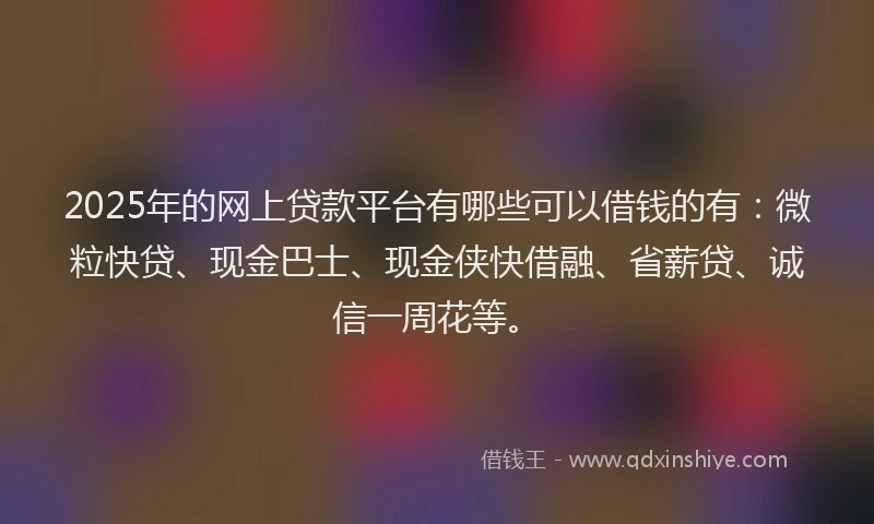 2025年的网上贷款平台有哪些可以借钱的有：微粒快贷、现金巴士、现金侠快借融、省薪贷、诚信一周花等。