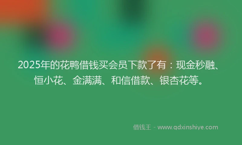 2025年的花鸭借钱买会员下款了有：现金秒融、恒小花、金满满、和信借款、银杏花等。