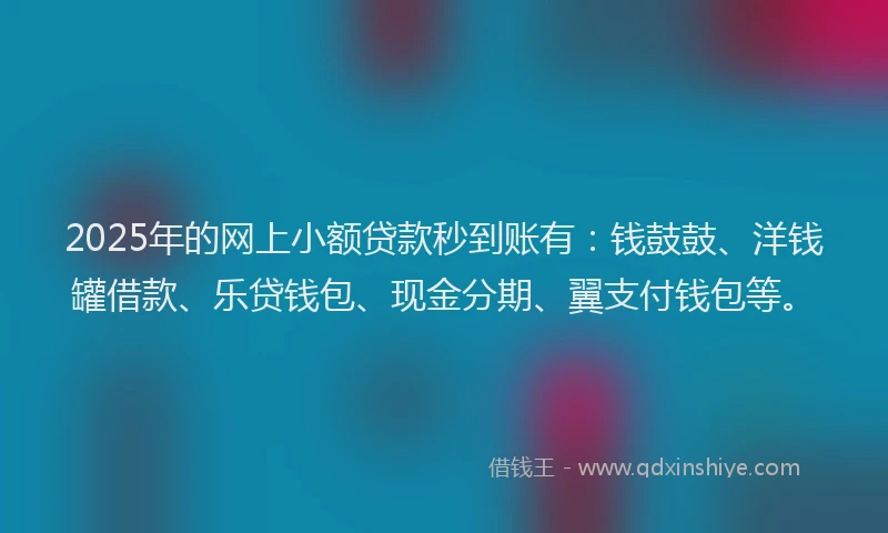 2025年的网上小额贷款秒到账有：钱鼓鼓、洋钱罐借款、乐贷钱包、现金分期、翼支付钱包等。