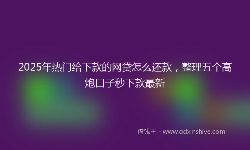 2025年热门给下款的网贷怎么还款，整理五个高炮口子秒下款最新