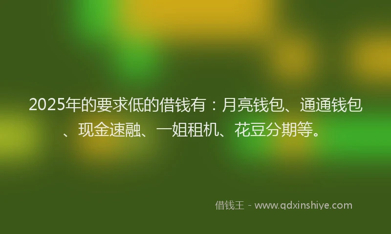 2025年的要求低的借钱有：月亮钱包、通通钱包、现金速融、一姐租机、花豆分期等。