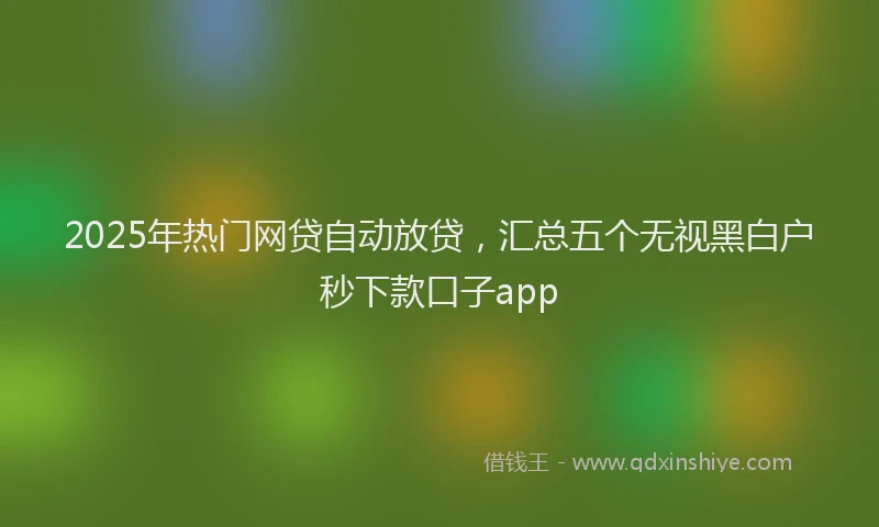2025年热门网贷自动放贷，汇总五个无视黑白户秒下款口子app