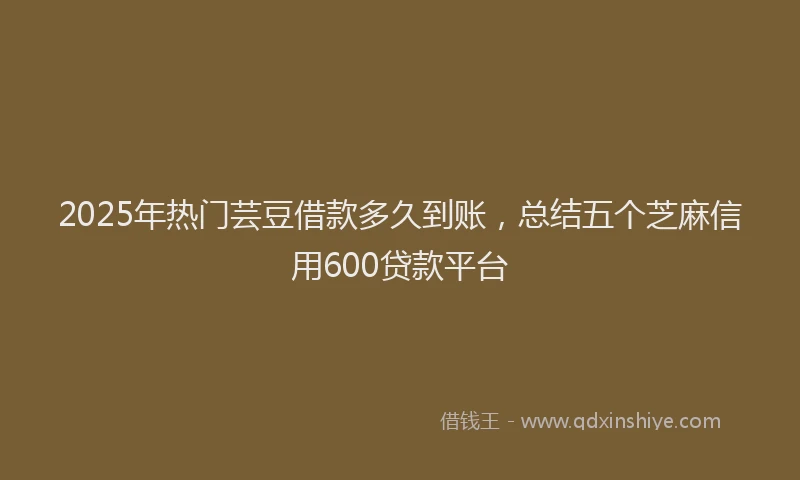2025年热门芸豆借款多久到账，总结五个芝麻信用600贷款平台