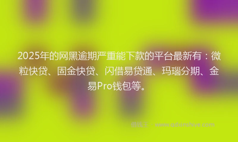 2025年的网黑逾期严重能下款的平台最新有：微粒快贷、固金快贷、闪借易贷通、玛瑙分期、金易Pro钱包等。