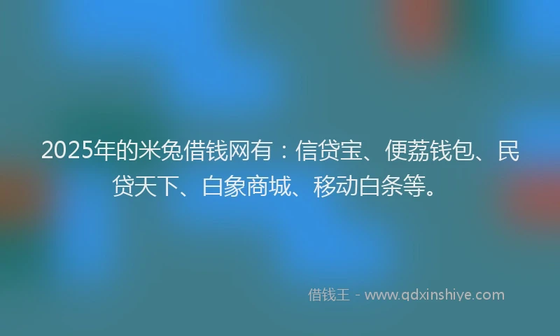 2025年的米兔借钱网有：信贷宝、便荔钱包、民贷天下、白象商城、移动白条等。