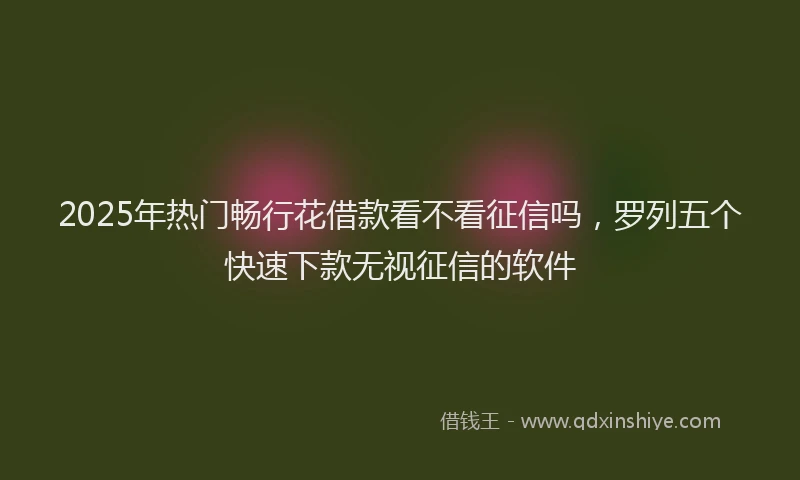 2025年热门畅行花借款看不看征信吗，罗列五个快速下款无视征信的软件