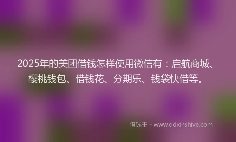 2025年的美团借钱怎样使用微信有：启航商城、樱桃钱包、借钱花、分期乐、钱袋快借等。