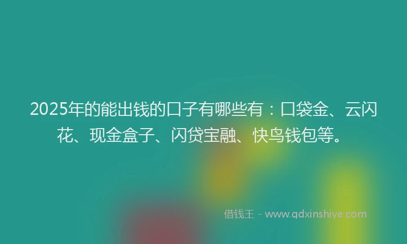 2025年的能出钱的口子有哪些有：口袋金、云闪花、现金盒子、闪贷宝融、快鸟钱包等。