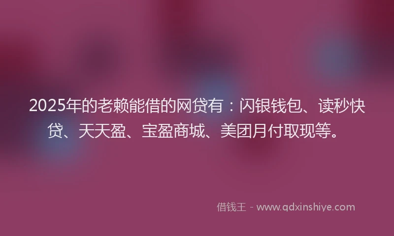 2025年的老赖能借的网贷有：闪银钱包、读秒快贷、天天盈、宝盈商城、美团月付取现等。