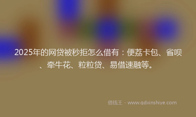 2025年的网贷被秒拒怎么借有：便荔卡包、省呗、牵牛花、粒粒贷、易借速融等。