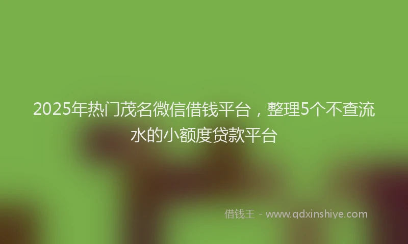 2025年热门茂名微信借钱平台，整理5个不查流水的小额度贷款平台