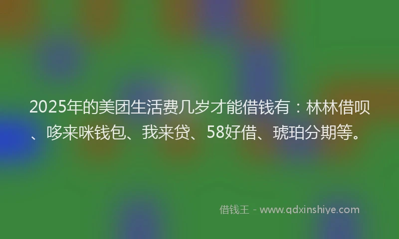 2025年的美团生活费几岁才能借钱有：林林借呗、哆来咪钱包、我来贷、58好借、琥珀分期等。