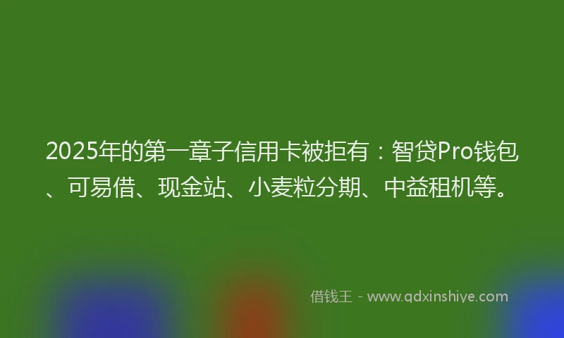 2025年的第一章子信用卡被拒有：智贷Pro钱包、可易借、现金站、小麦粒分期、中益租机等。