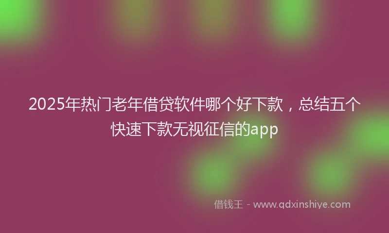 2025年热门老年借贷软件哪个好下款，总结五个快速下款无视征信的app