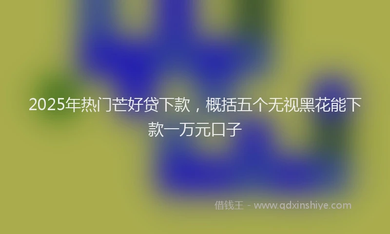 2025年热门芒好贷下款，概括五个无视黑花能下款一万元口子