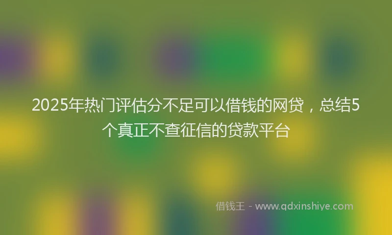 2025年热门评估分不足可以借钱的网贷，总结5个真正不查征信的贷款平台