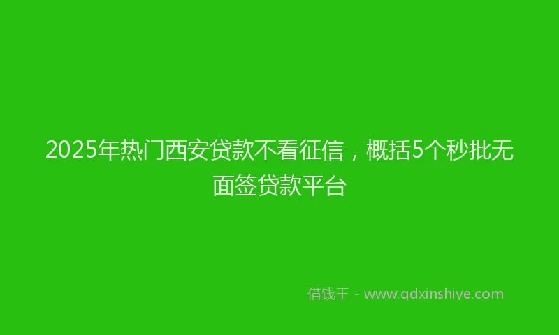 2025年热门西安贷款不看征信，概括5个秒批无面签贷款平台