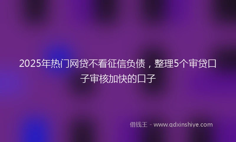2025年热门网贷不看征信负债，整理5个审贷口子审核加快的口子